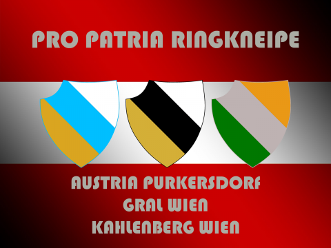 Österreichflagge mit Farbenschildern AUP-GLW-KBW