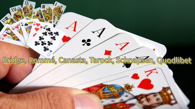Hand eines Kartenspielers mit Karten